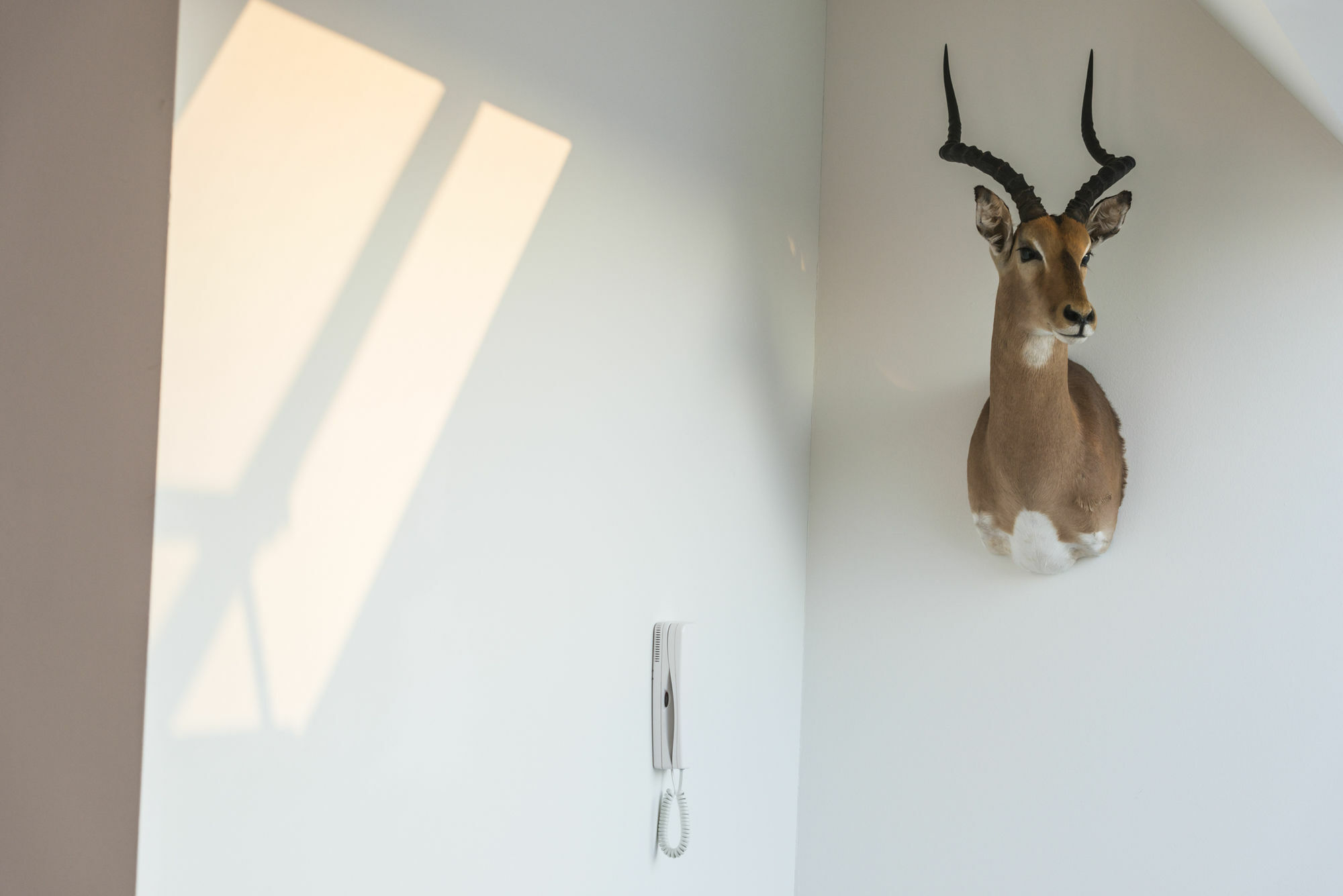 Penthouse Stephansplatz By Welcome2Wien Exteriör bild
